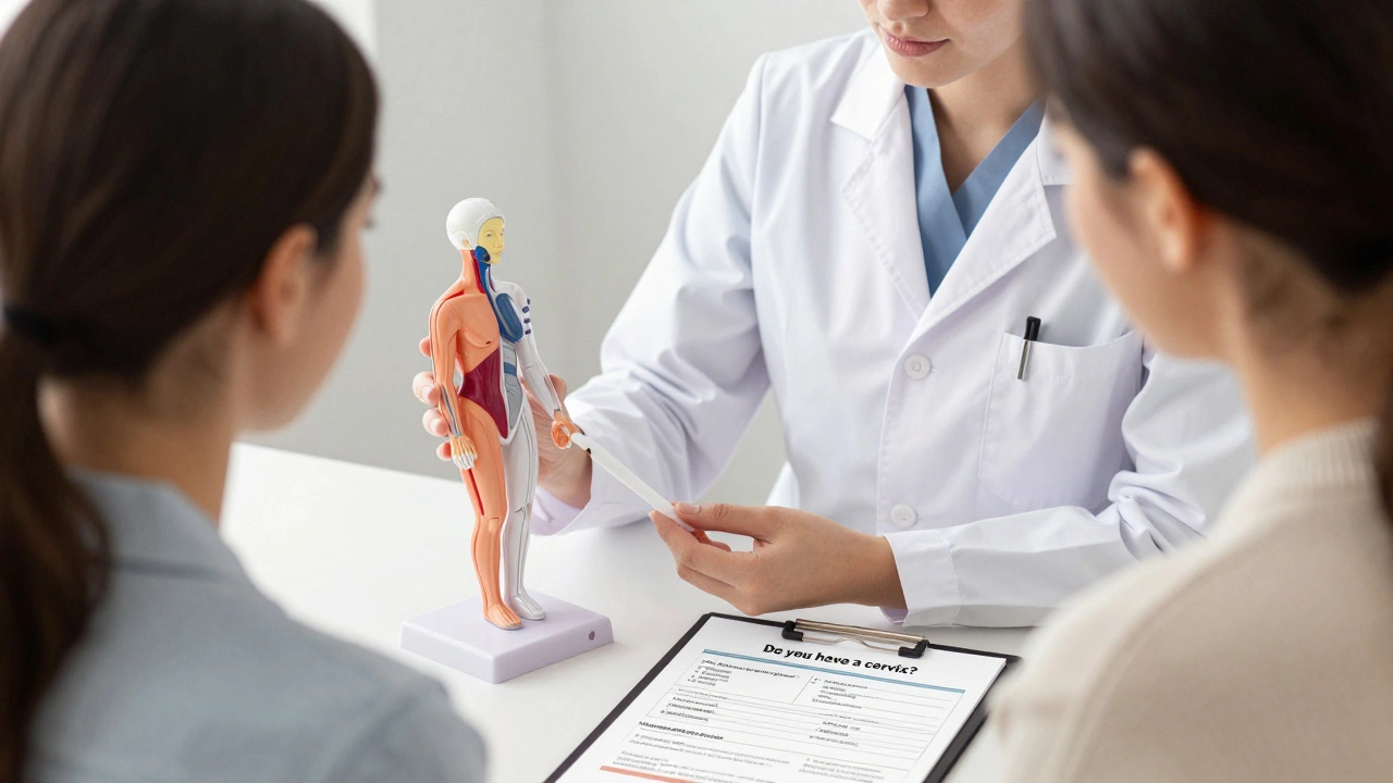 A doctor using an anatomical model to explain Pap smears to a patient, with gender-neutral intake form.